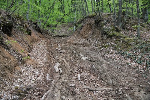 не рискнули .... уж больно скользко и узко
