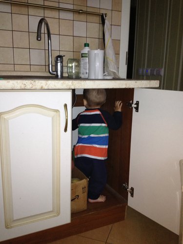 точно більше яблук не має?!