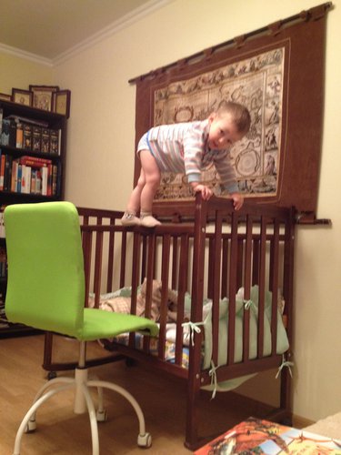 Мама, я-койоль!