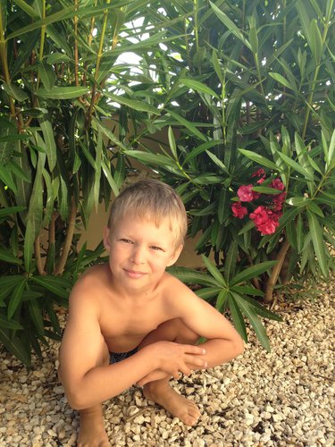 гриб... чи жабка  - думки розділилися