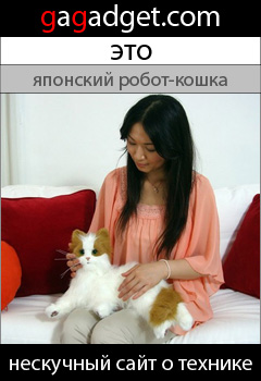 http://gagadget.com/misc_gadgets/2009-07-06-sega_dream_cat_venus_iskusstvennaya_koshka_za_110_dollarov