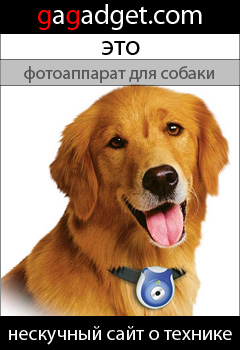 http://gagadget.com/misc_gadgets/2008-12-05-pets_eye_view_kamera_dlya_sobaki