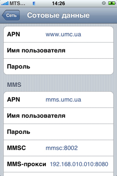 iPhone Internet GPRS