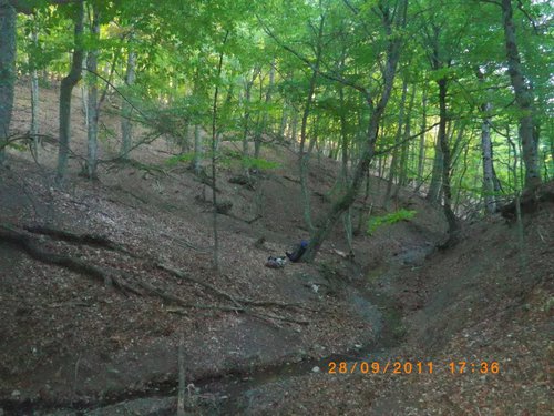 на этот ручей вечером кабанчики, в кол-ве 5-7 штук, пришли попить водички