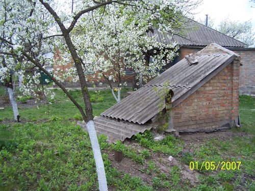 дом пока еще без веранды, новых окон и с темной грушей, зонтиком накрывающая вход