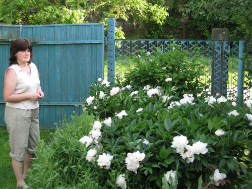 Наташка в размышлениях над пионами