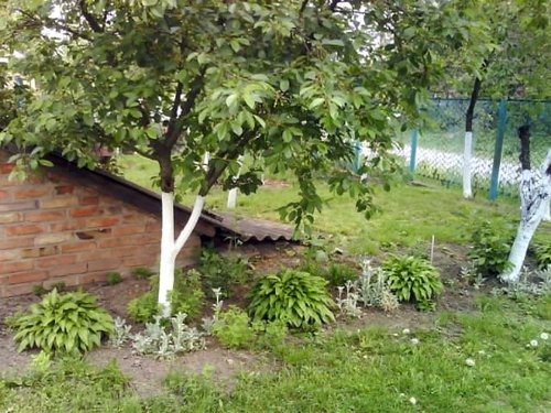 иногда именно такие обзорные картинки помогают пережить зиму, подпитывают фантазии и рождают наполеоновские планы